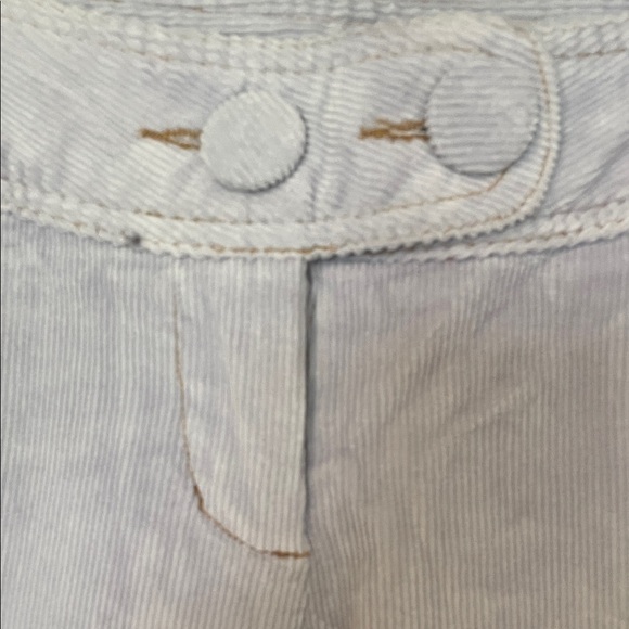 Tulle Anthropologie Women's Light Purple Corduroy Bermudas Size 2 - Picture 4 of 11